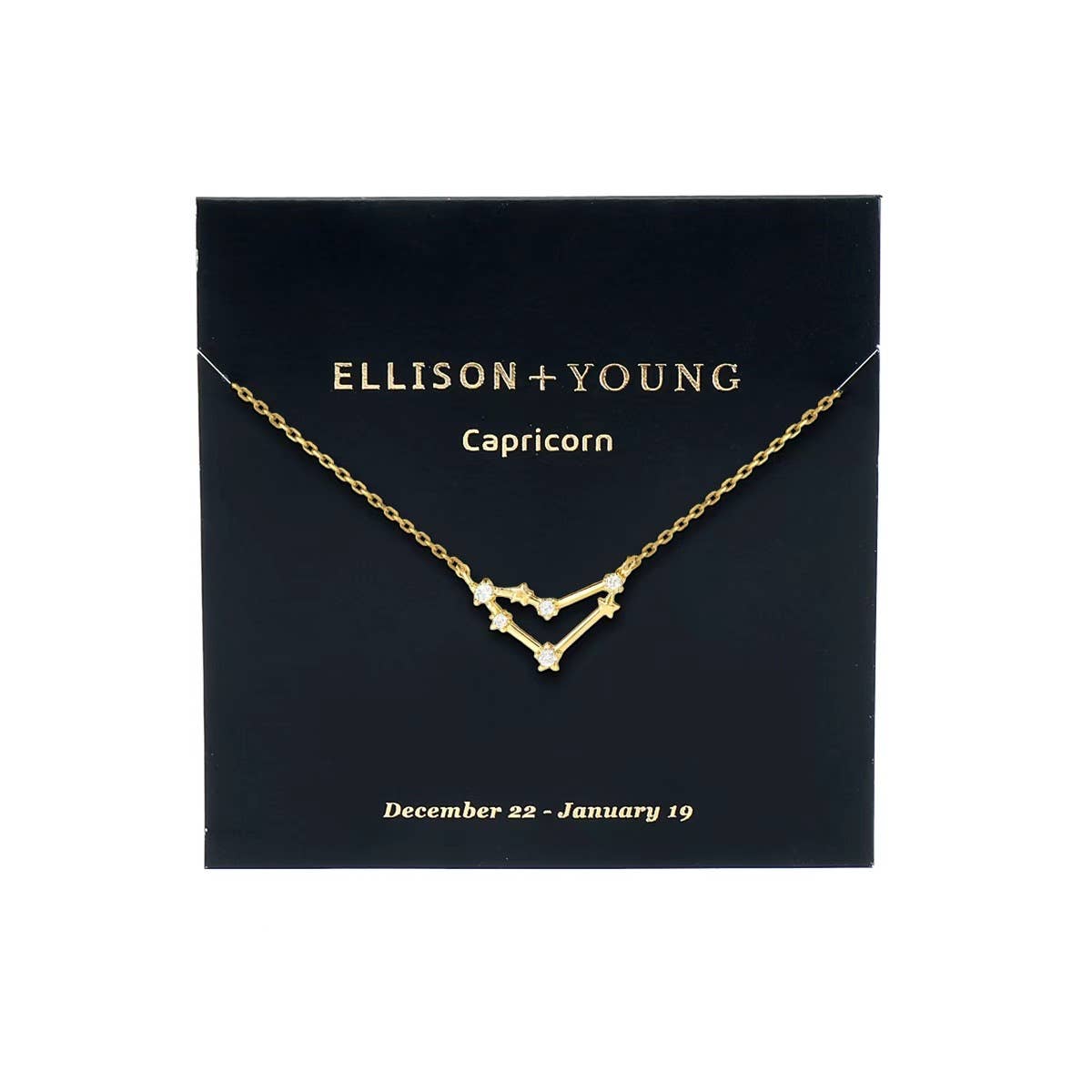 Zodiac Collection Necklace